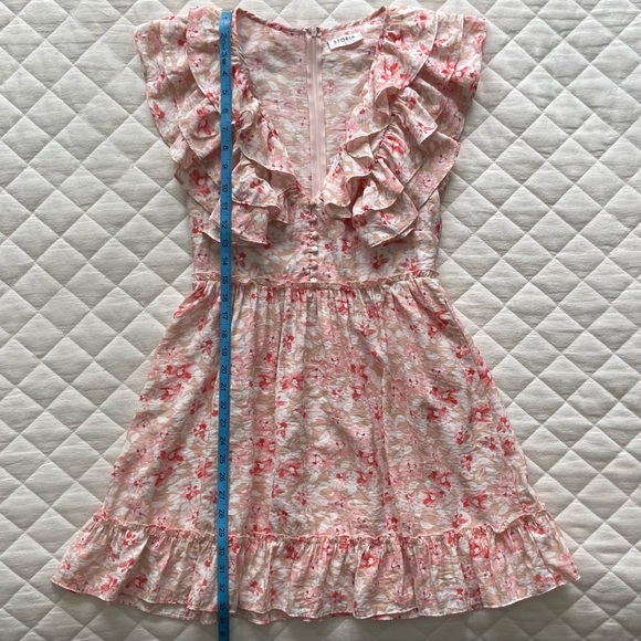 🌸 Storia, Prosecco Rosé Ruffled Mini Dress - Picture 16 of 16